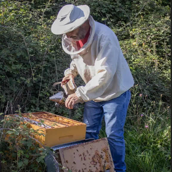 La forêt en fête à Flotin | Les Jardins de la voie romaine