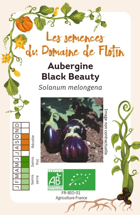 Capture d'écran 2026-01-03 095838.webp