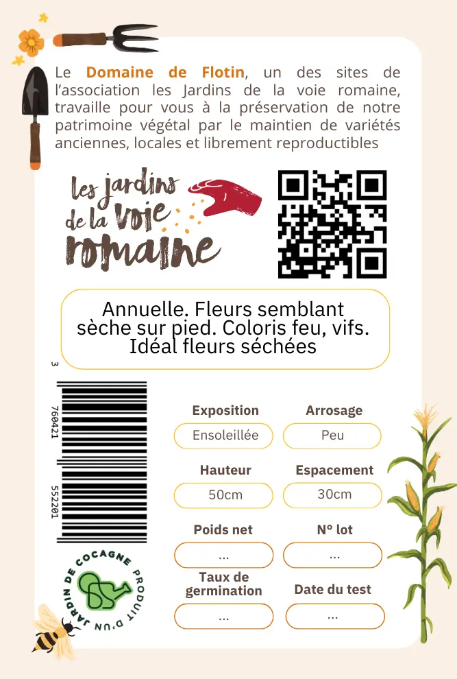 1_Immortelle 'Fireball' 0,5gVerso.webp