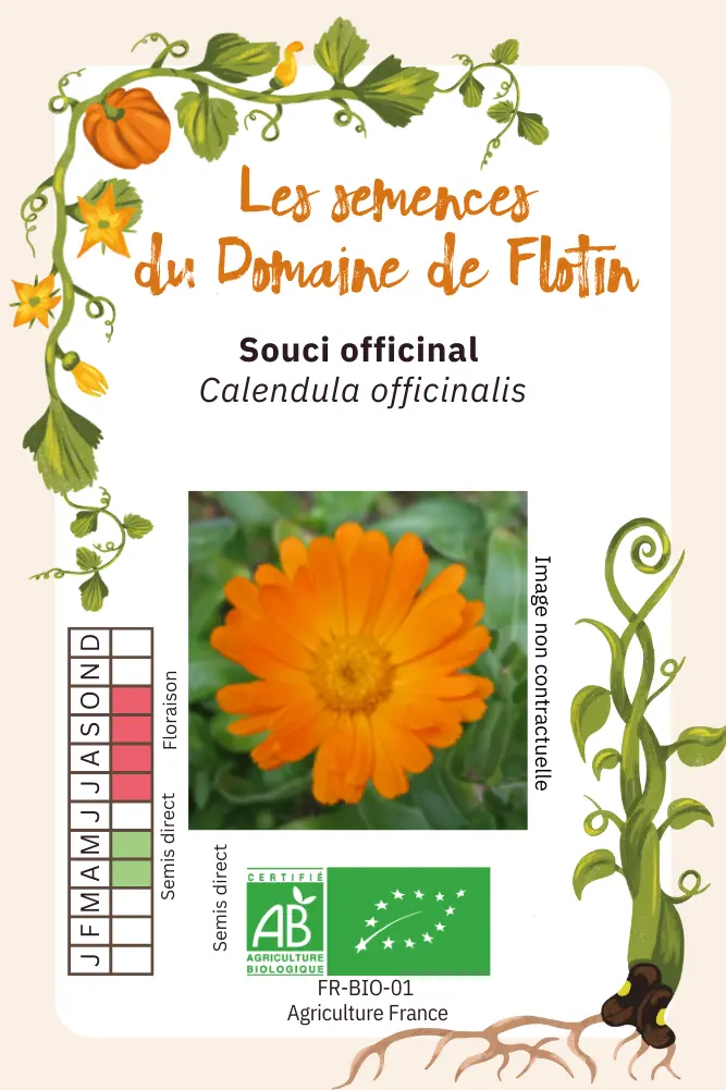 2_Souci officinal Recto.webp