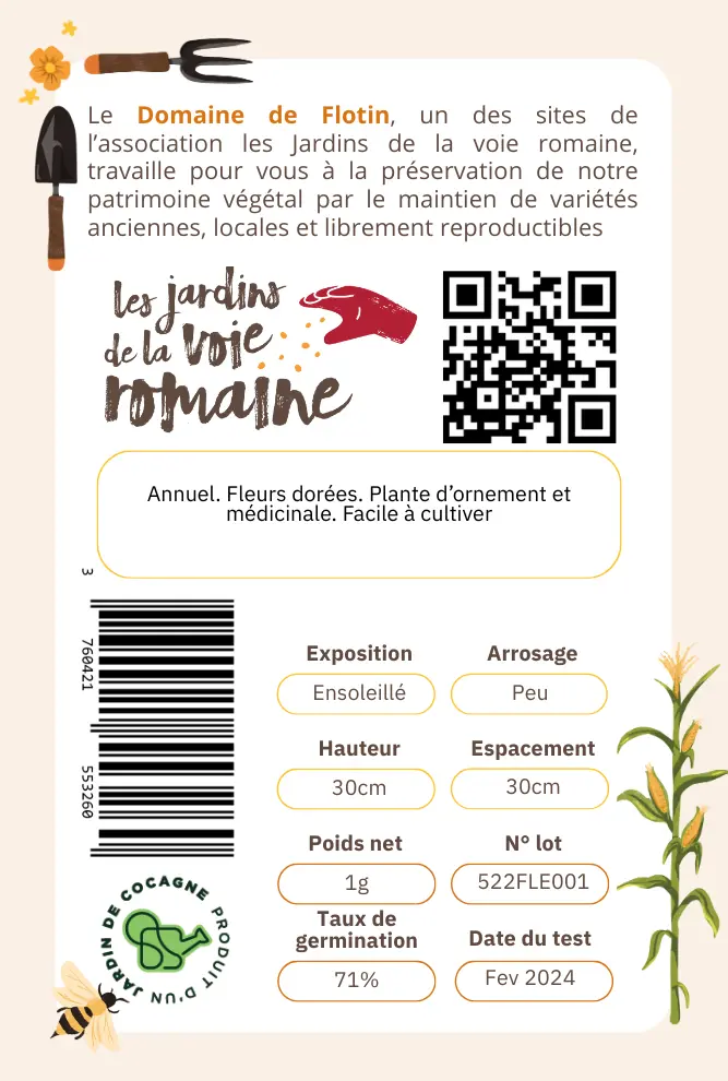 2_Souci officinal Verso.webp