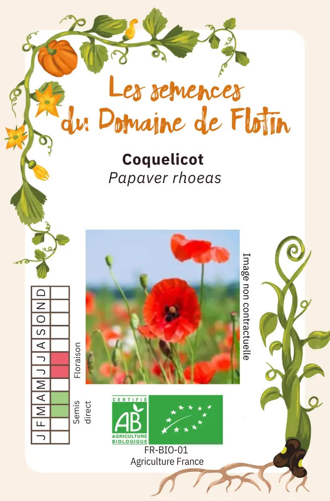 3_CoquelicotRecto.webp