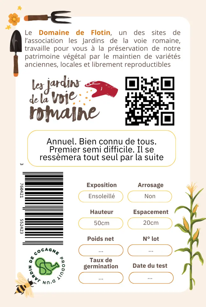 3_Coquelicot Verso.webp