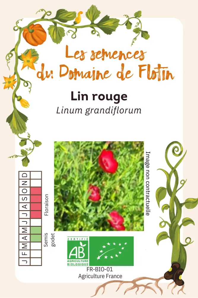 4_Lin rougeRecto.webp