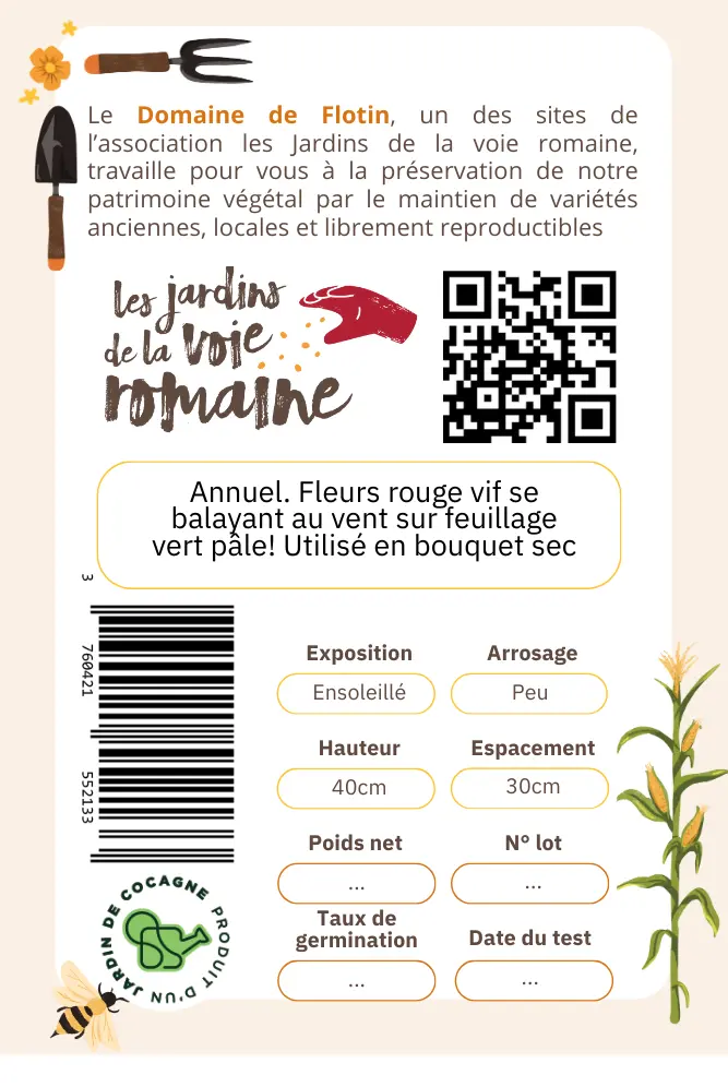 4_Lin rougeVerso.webp