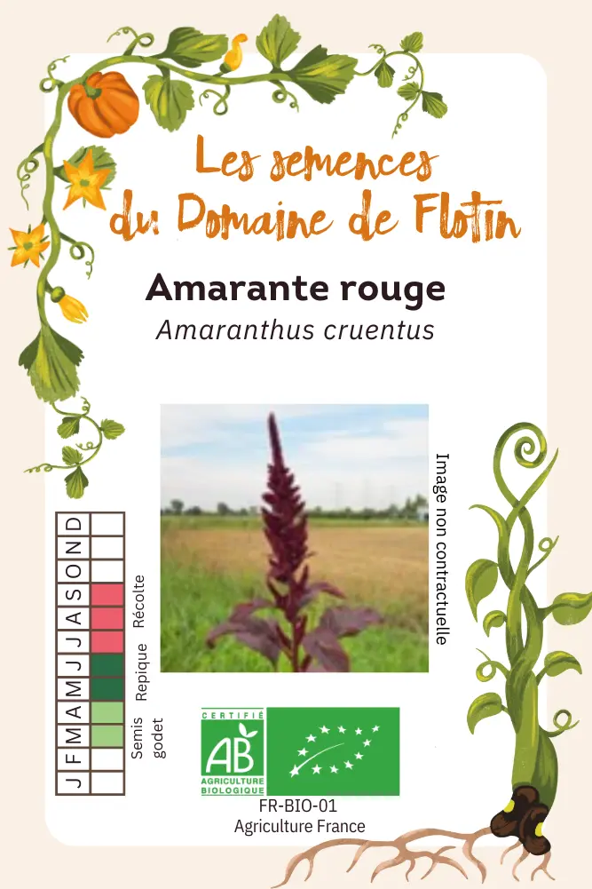 6_Amarante rougeRecto.webp