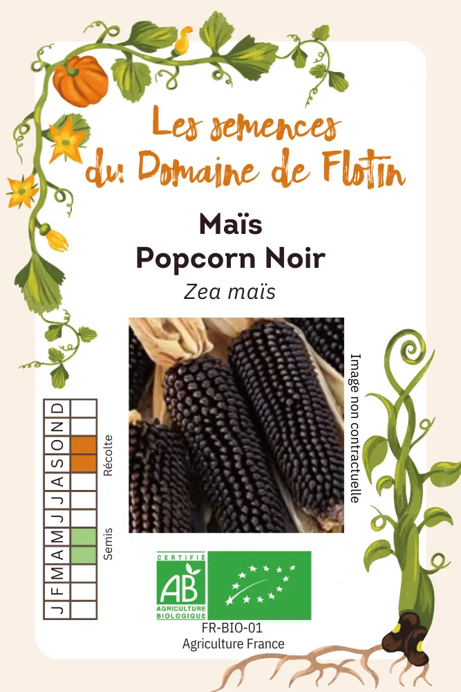 Mais Popcorn Noir.webp