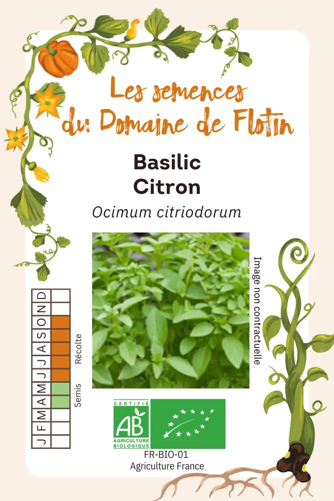 Basilic Citron.webp
