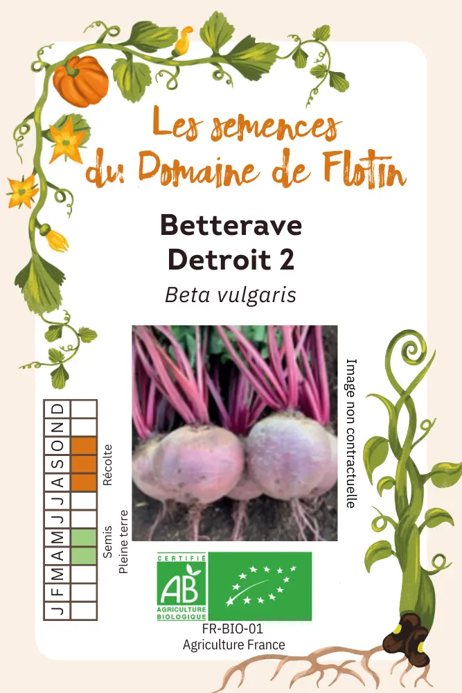 Betterave Detroit 2.webp