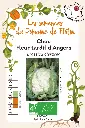 Chou fleur tardif d'angers.webp
