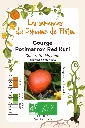 Courge Red Kuri.webp