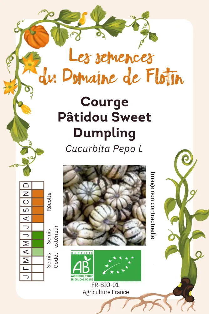 Courge Sweet dumpling.webp