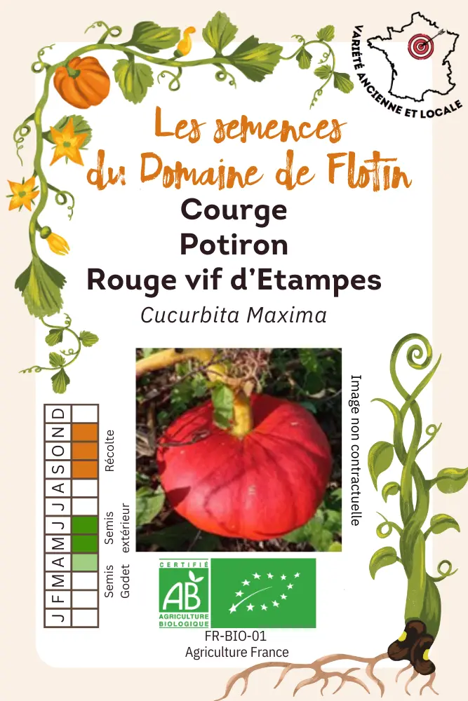 Courge rouge vif d'etampes.webp