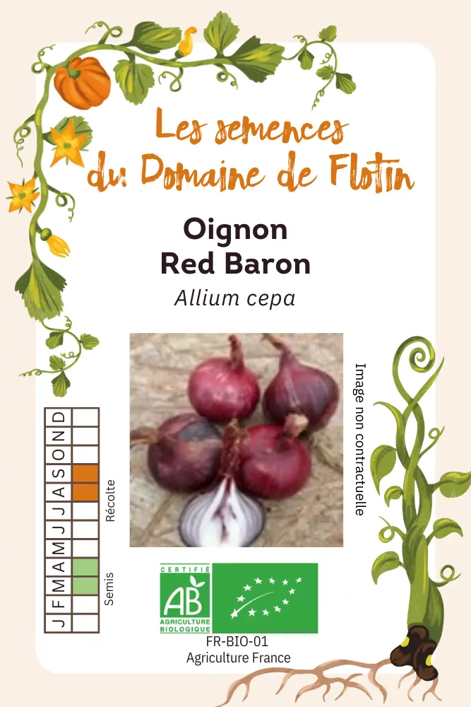 Oignon Red Baron.webp