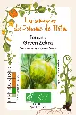 Tomate Green Zebra.webp