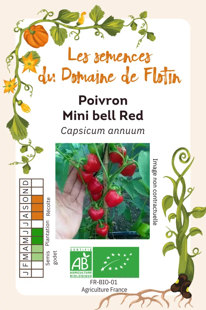 Poivron Mini bell red.webp