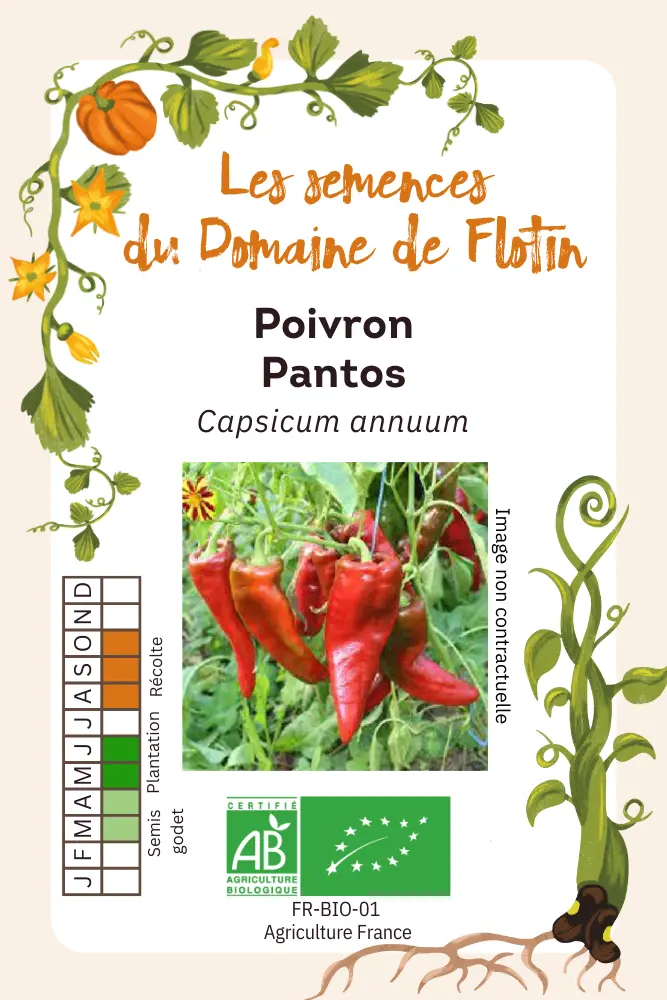 Poivron Pantos.webp
