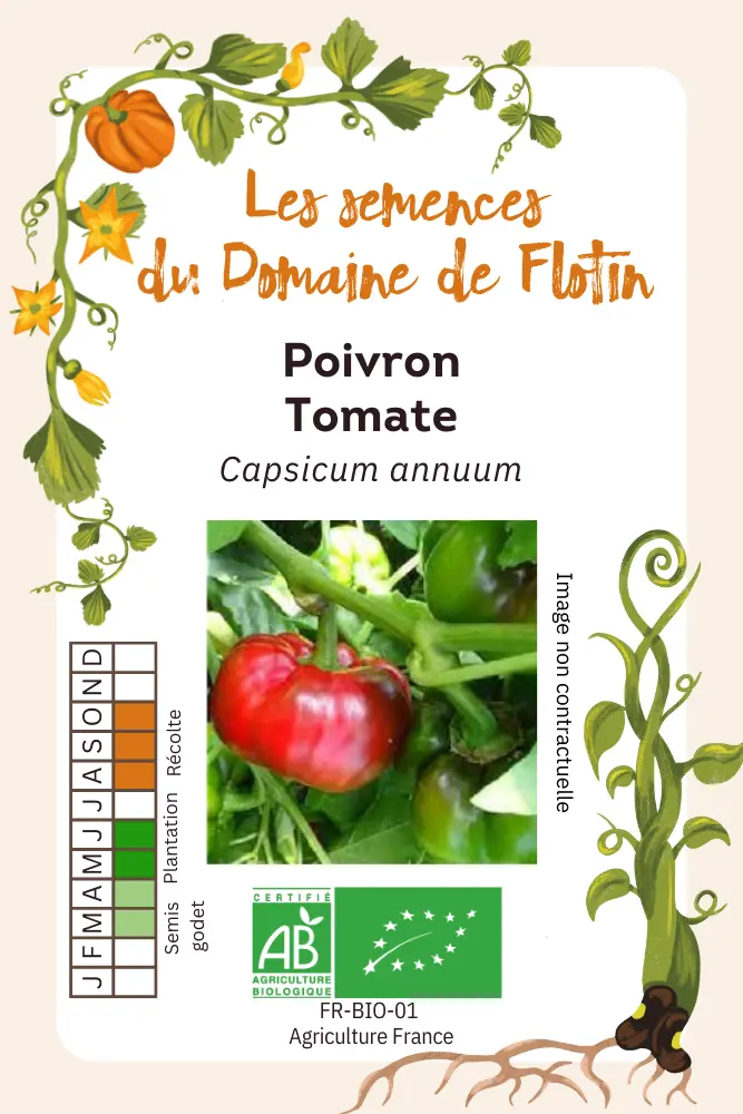 Poivron Tomate.webp