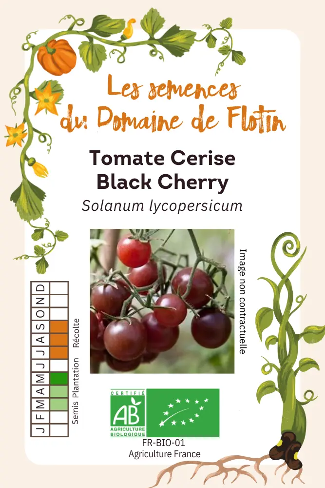 1_Cerise Black Cherry.webp