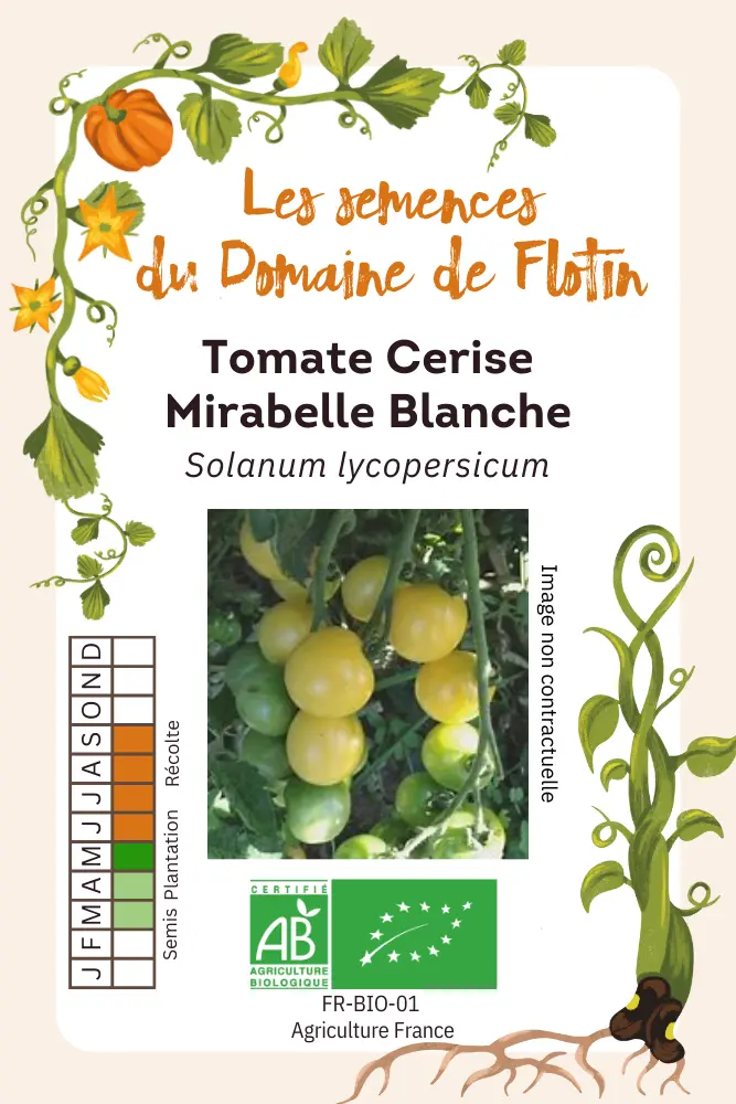 6_Cerise mirabelle blanche.webp