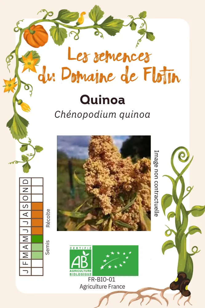 Quinoa.webp