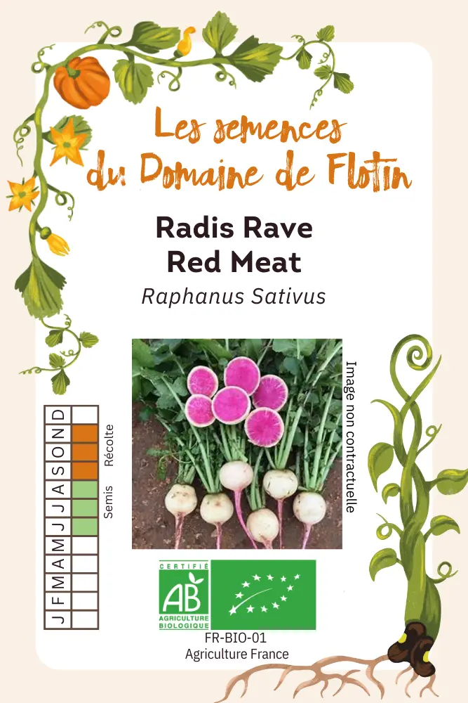 Radis rave Red Meat.webp