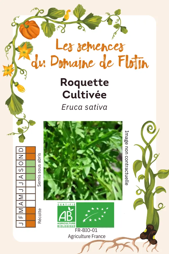 Roquette cultivée.webp
