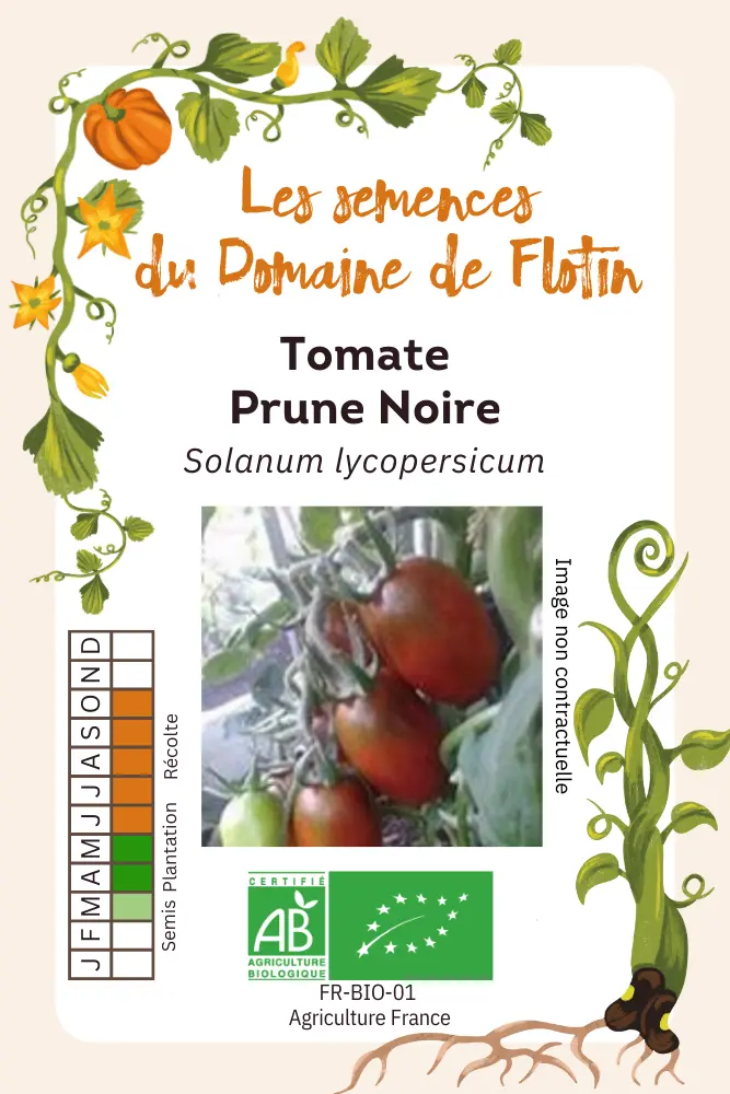 16_Tomate Prune Noire.webp