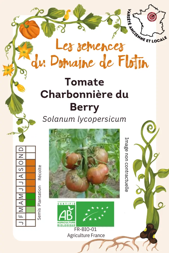 Tomate Charbonnière du berry.webp