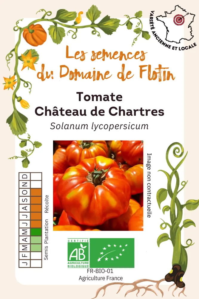 Tomate Château de Chartres.webp