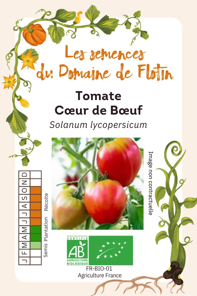 Tomate coeur de boeuf .webp