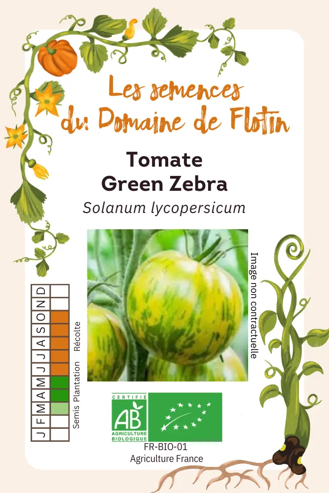 Tomate Green Zebra.webp