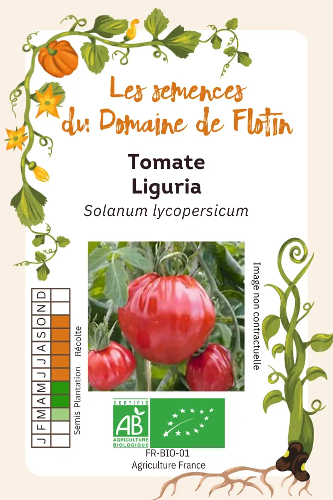 Tomate Liguria.webp
