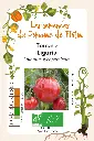 Tomate Liguria.webp
