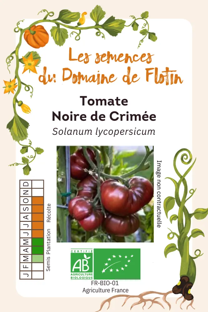 Tomate Noire de Crimée.webp