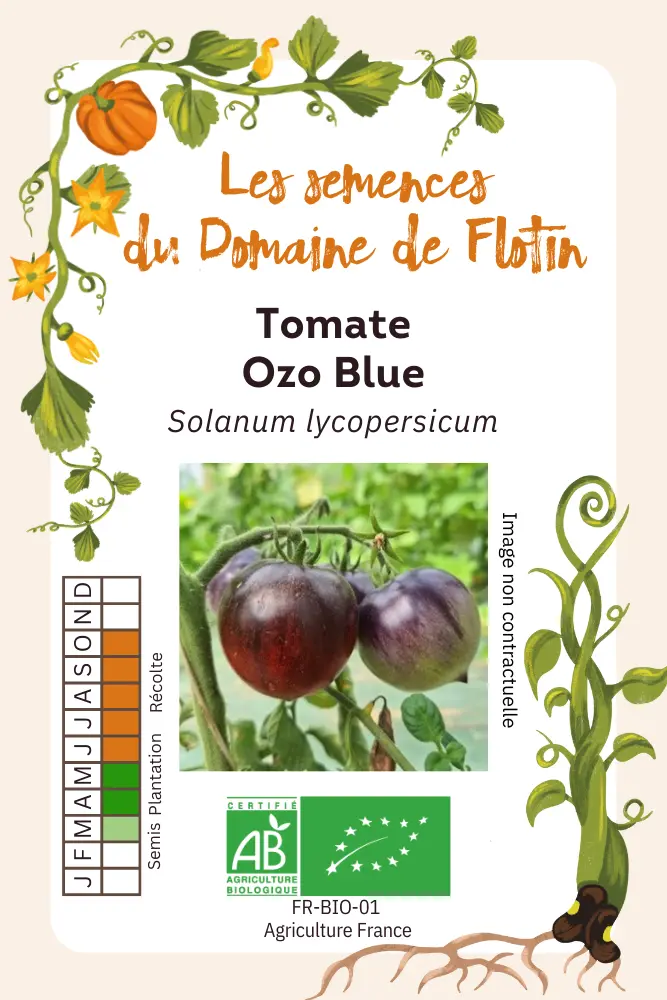 Tomate Ozo Blue.webp