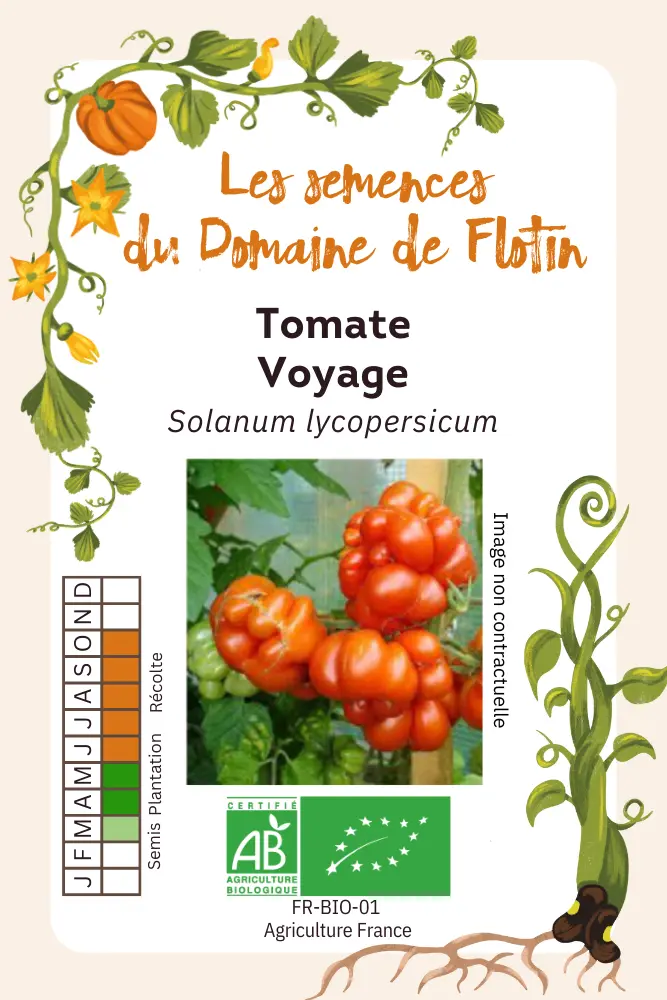 Tomate Voyage.webp