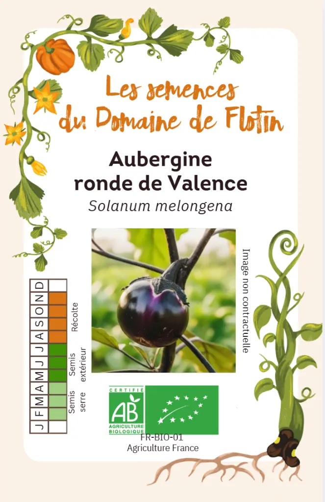 Capture d'écran 2026-01-30 101634.webp