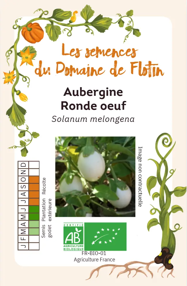 Capture d'écran 2026-01-30 102023.webp