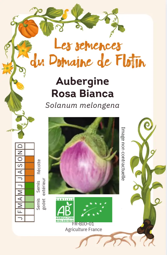 Capture d'écran 2026-01-30 102151.webp