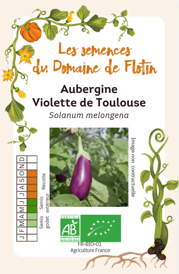 Capture d'écran 2026-01-30 102659.webp