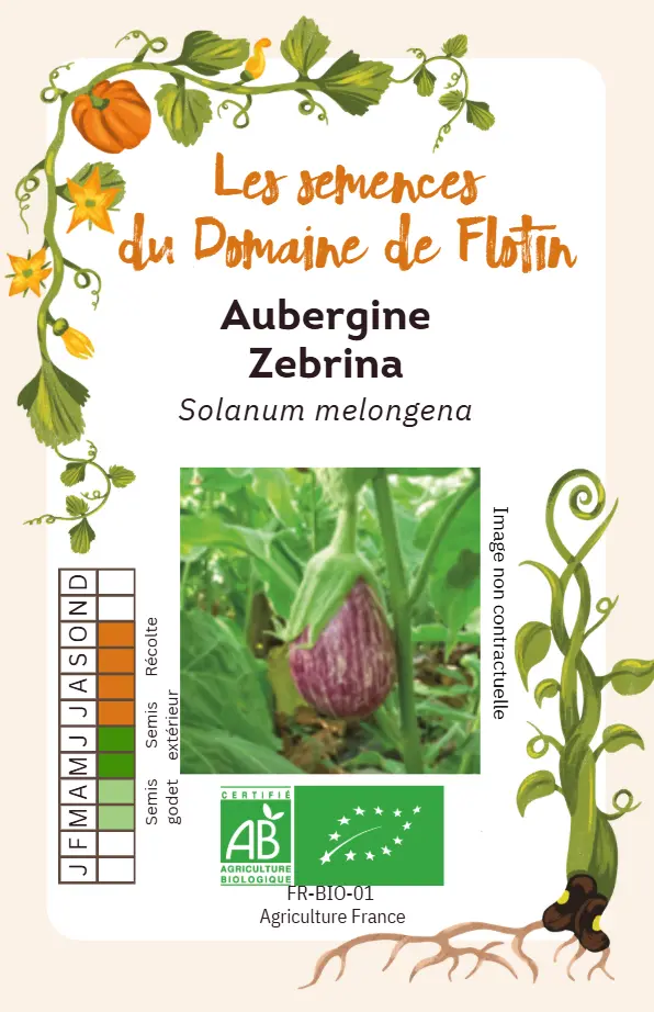 Capture d'écran 2026-01-30 103015.webp