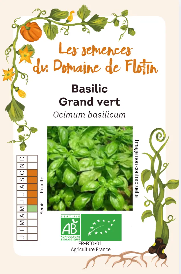 Capture d'écran 2026-01-30 110029.webp