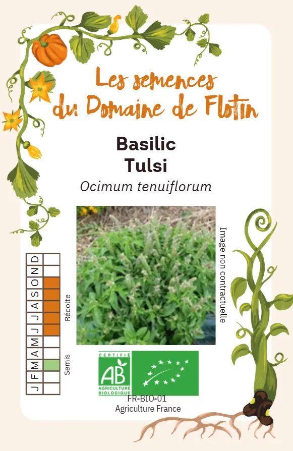 Capture d'écran 2026-01-30 115122.webp