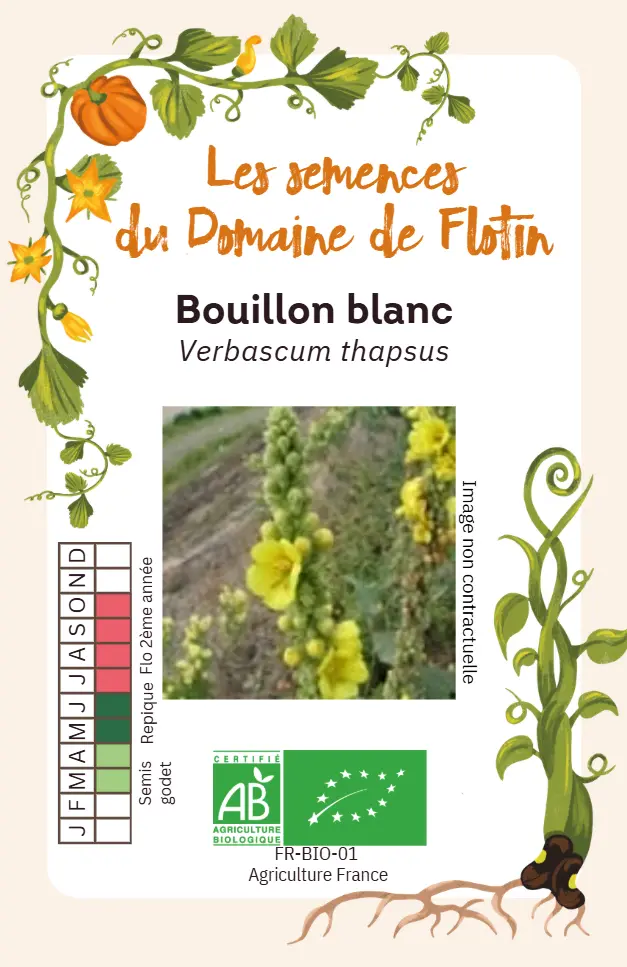 Capture d'écran 2026-01-30 120457.webp