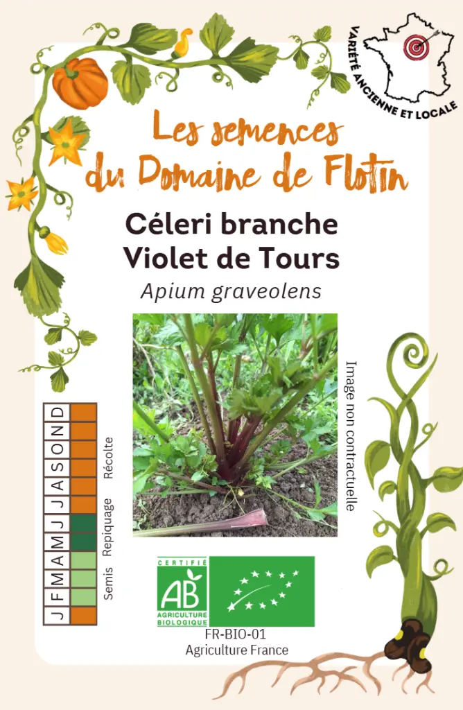 Capture d'écran 2026-01-30 121710.webp