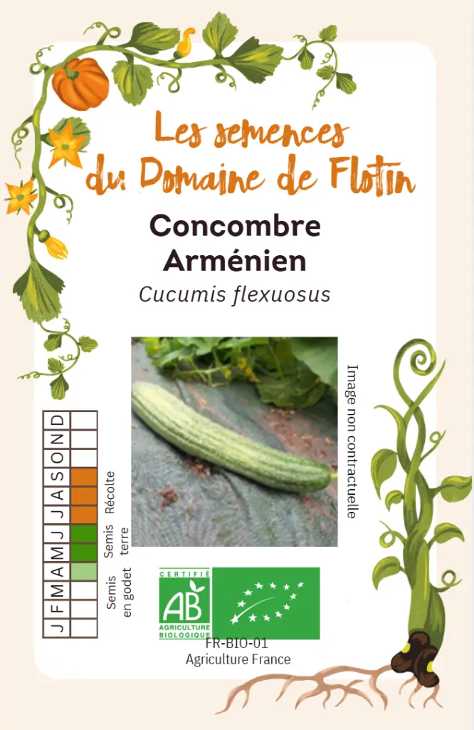 Capture d'écran 2026-02-02 094533.webp