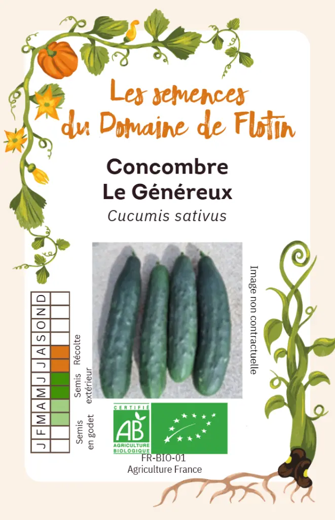 Capture d'écran 2026-02-02 094707.webp