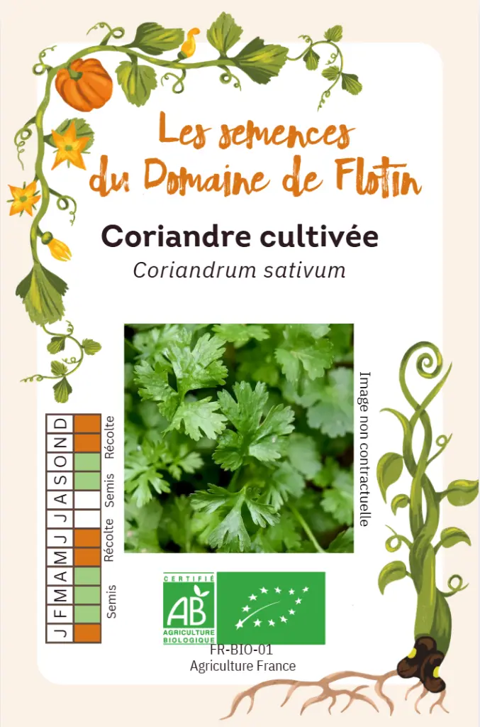 Capture d'écran 2026-02-02 094934.webp