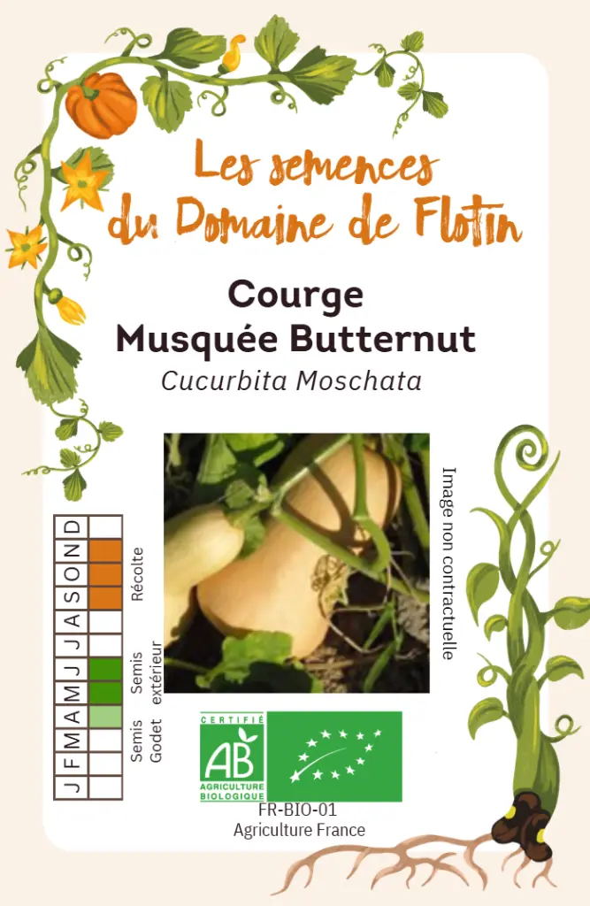 Capture d'écran 2026-02-02 095236.webp